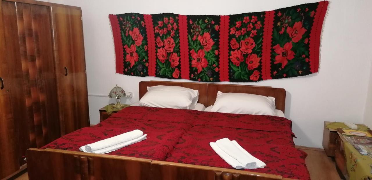 Etno Apartmani "Vlaska Kuca" Kladovo Bagian luar foto