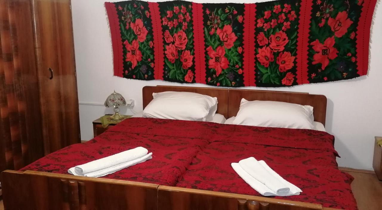 Etno Apartmani "Vlaska Kuca" Kladovo Bagian luar foto