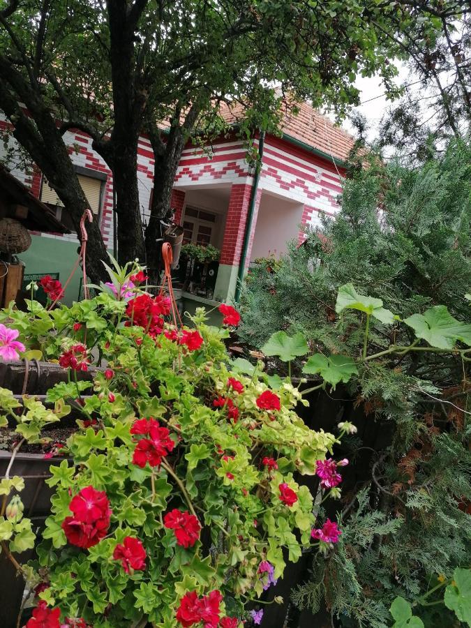 Etno Apartmani "Vlaska Kuca" Kladovo Bagian luar foto