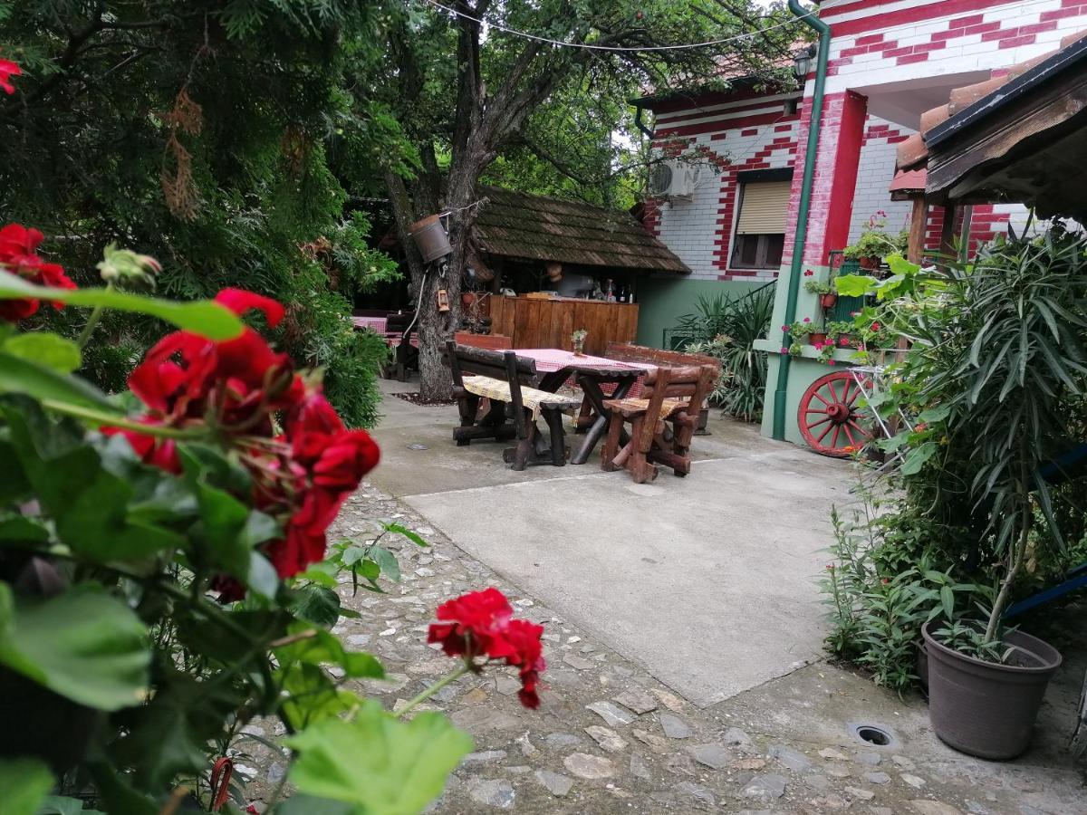 Etno Apartmani "Vlaska Kuca" Kladovo Bagian luar foto