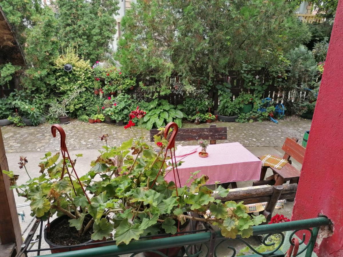Etno Apartmani "Vlaska Kuca" Kladovo Bagian luar foto