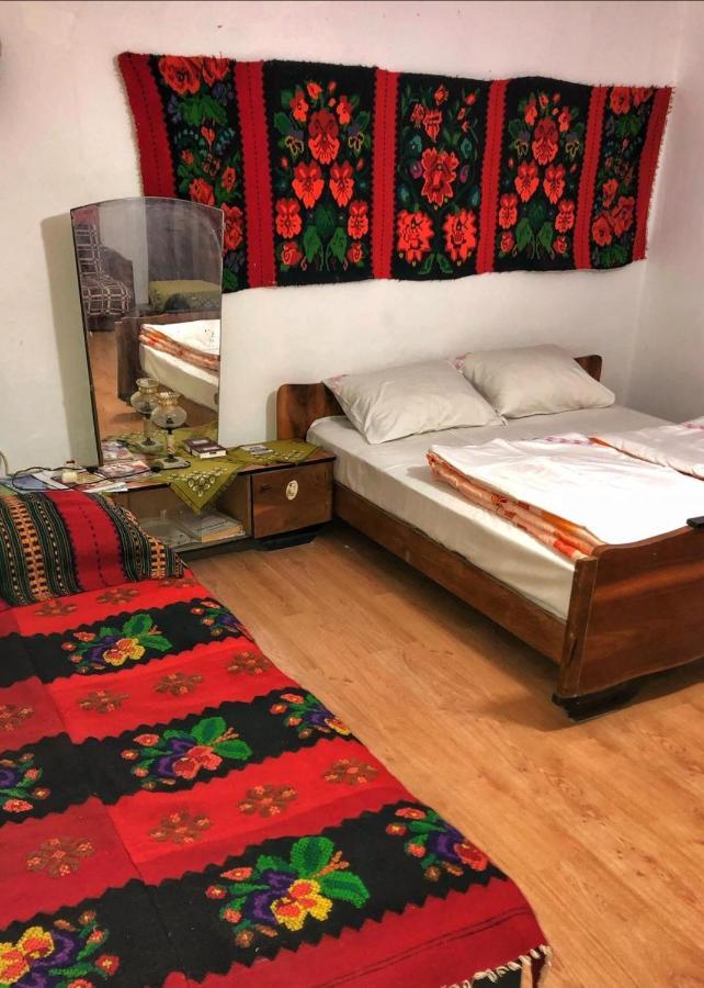 Etno Apartmani "Vlaska Kuca" Kladovo Bagian luar foto
